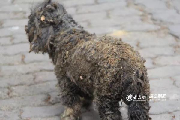 突發(fā)！青島一居民樓發(fā)生爆燃！已造1人死亡，7人受傷！3公里外有震感…