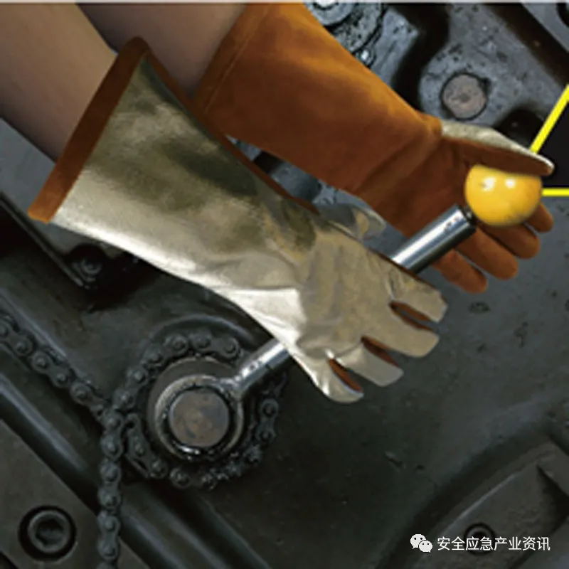 1613717110685394.jpg 15_看圖王.web.jpg