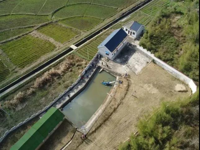 1613800167325787.jpg 2.jpg